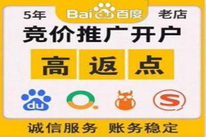 SEM投放案例：助力企业业绩增长